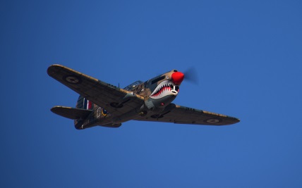 P40 Warhawk